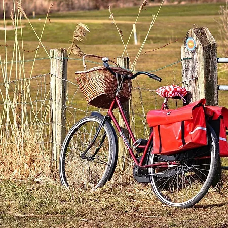Hof 's Gravenmoer 's-Gravenmoer
