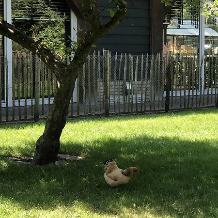 酒店 Hof 's Gravenmoer