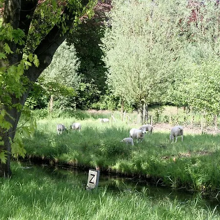 Hof 's Gravenmoer 3*