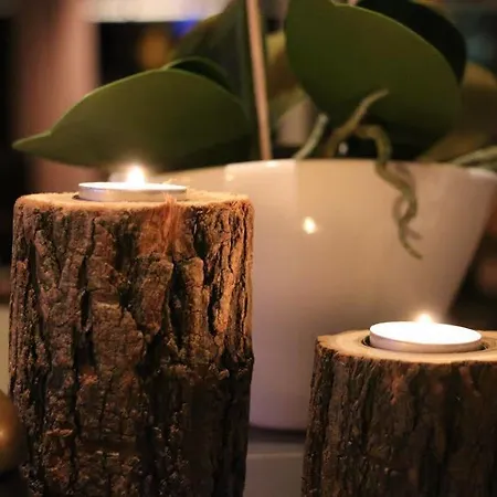 Hof 's Gravenmoer 酒店 3*