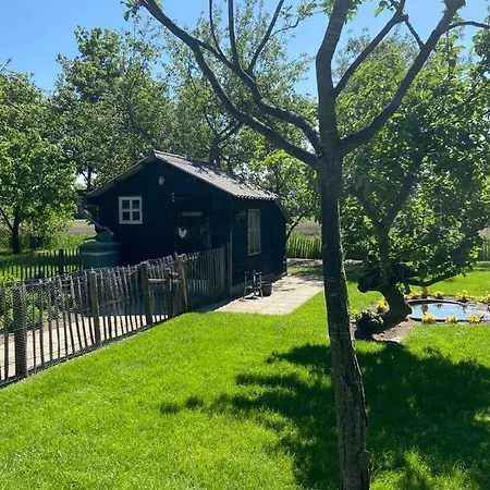 Hof 's Gravenmoer 's-Gravenmoer