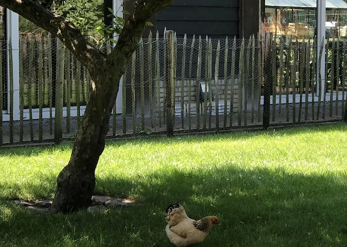 Hotell Hotel Hof Van 'S Gravenmoer