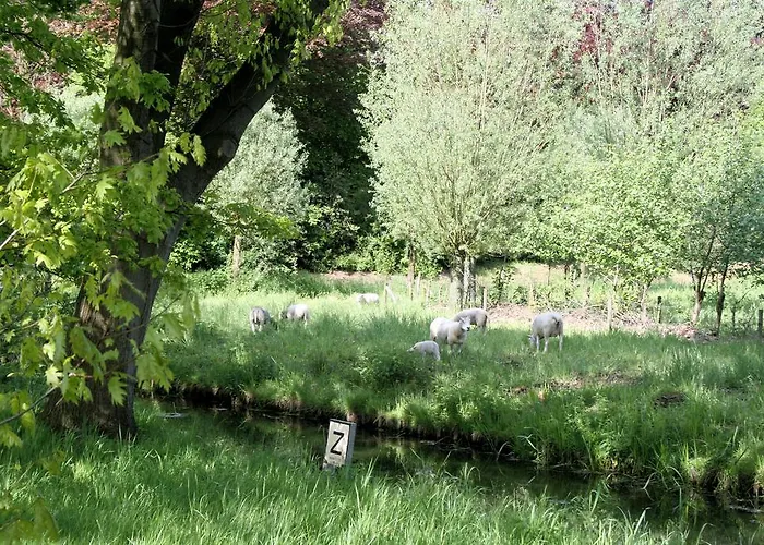 Hotel Hof Van 'S Gravenmoer 3*