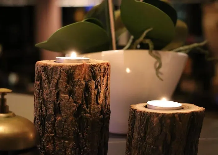 Hotel Hof Van 'S Gravenmoer Hotel 3*