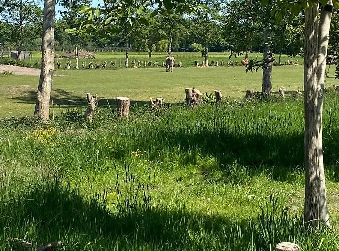 Hotel Hof Van 'S Gravenmoer Hotell 3*