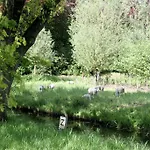 Hof 's Gravenmoer 3*