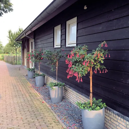 Hof 's Gravenmoer فندق